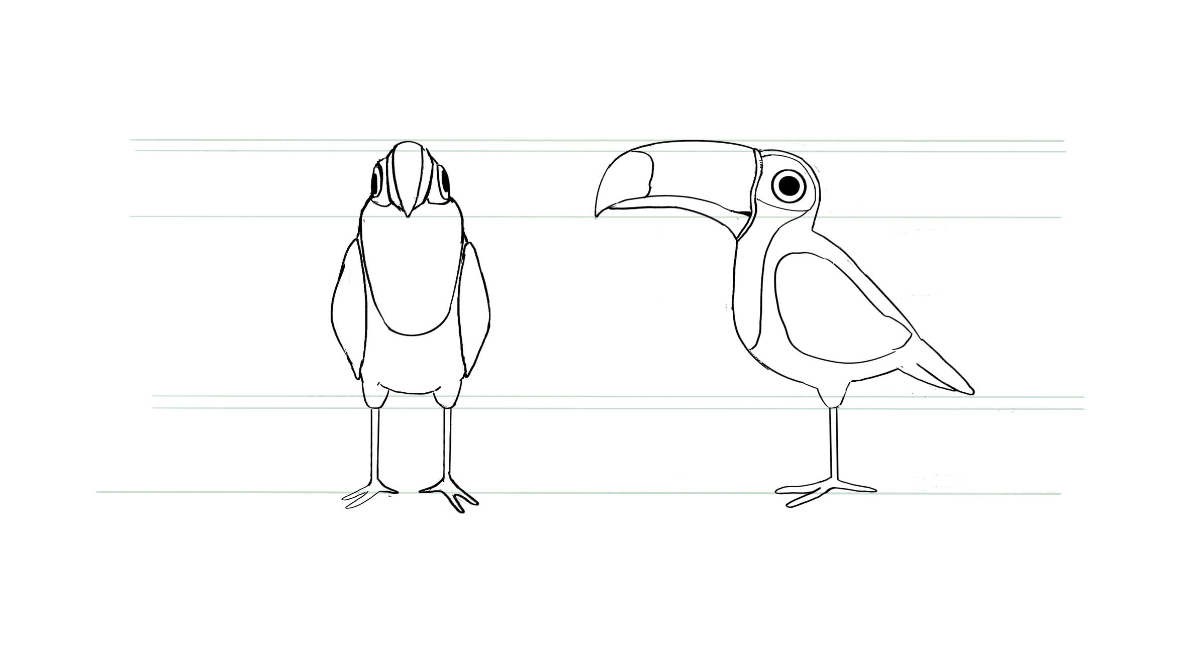 toucan turnaround
